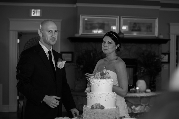Buffalo Wedding Photography