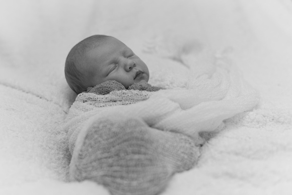 Newborn Photography in Buffalo, NY