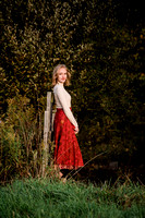 Emily DGY Proofs